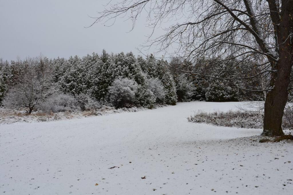 Hidden Farm Escape in the Heart of Kawarthas