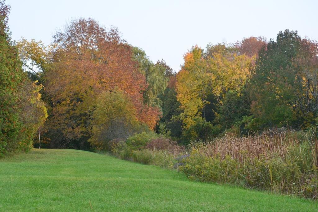 Hidden Farm Escape in the Heart of Kawarthas