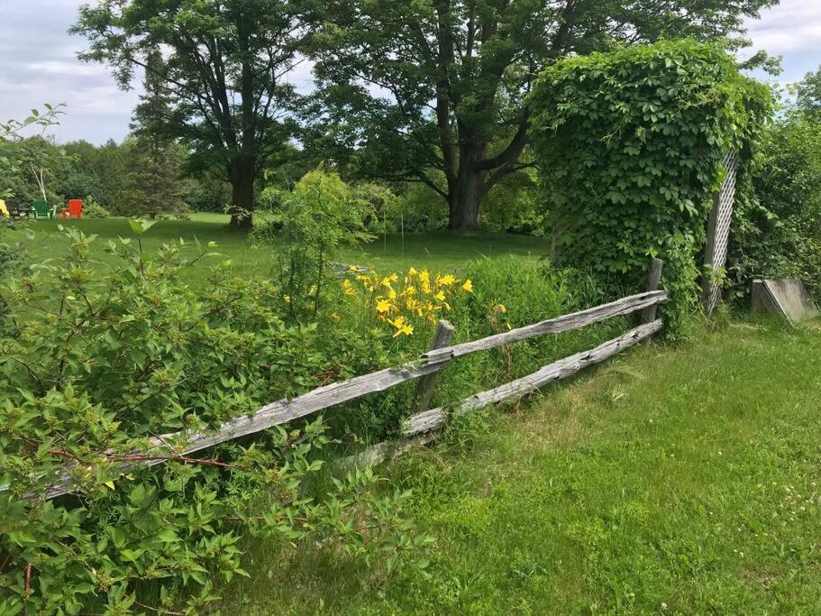 Hidden Farm Escape in the Heart of Kawarthas