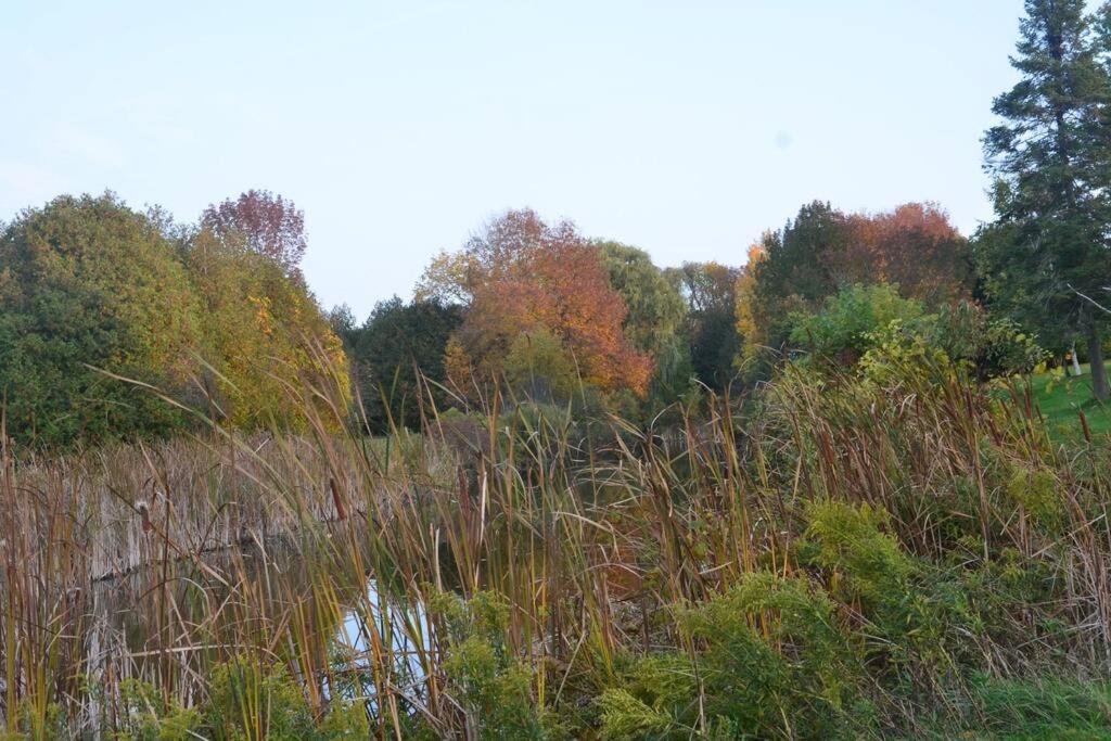 Hidden Farm Escape in the Heart of Kawarthas