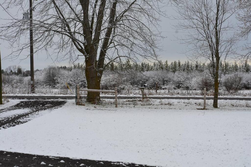 Hidden Farm Escape in the Heart of Kawarthas