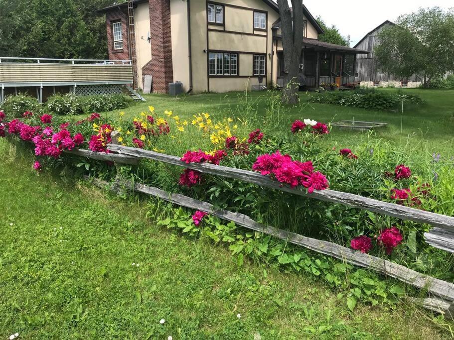 Hidden Farm Escape in the Heart of Kawarthas
