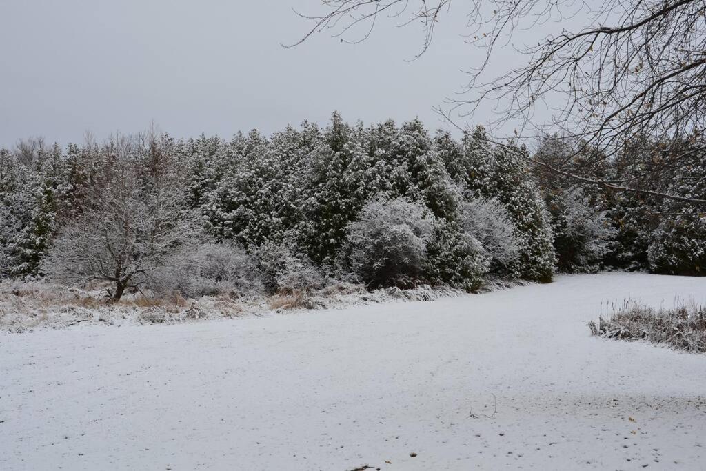 Hidden Farm Escape in the Heart of Kawarthas