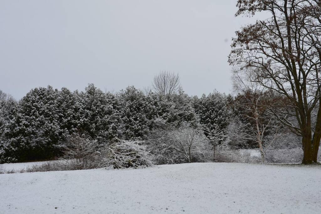 Hidden Farm Escape in the Heart of Kawarthas