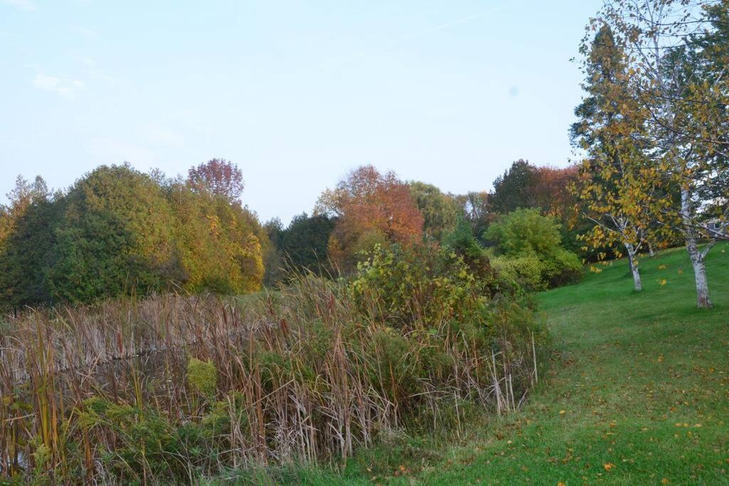 Hidden Farm Escape in the Heart of Kawarthas