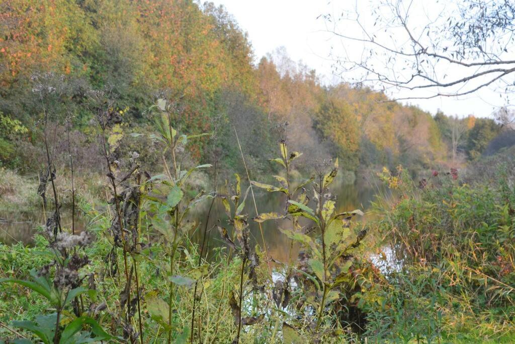 Hidden Farm Escape in the Heart of Kawarthas