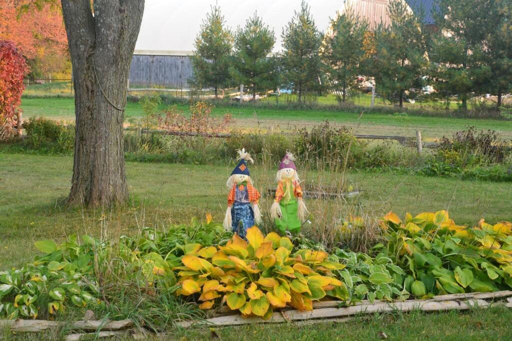 Hidden Farm Escape in the Heart of Kawarthas