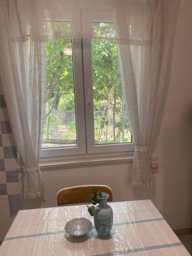 ID148DomusKova