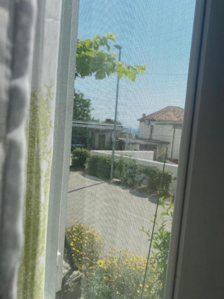 ID148DomusKova