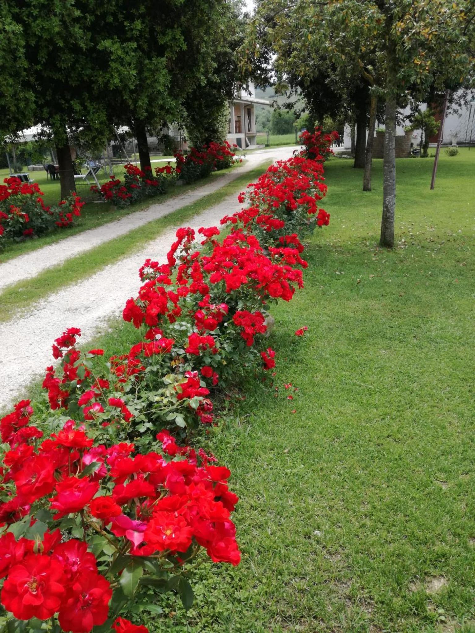 Photo 37