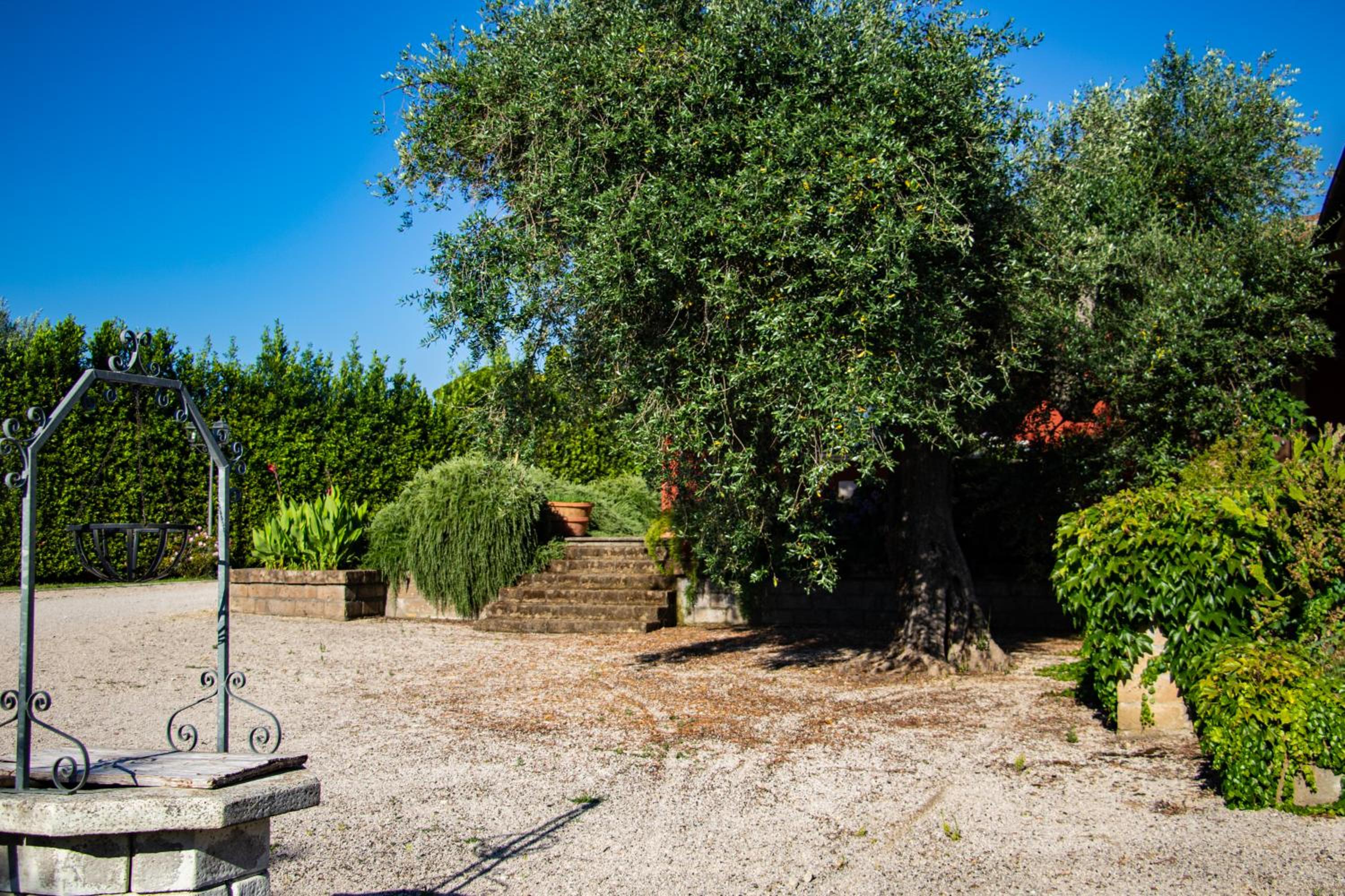 Selva Castalda