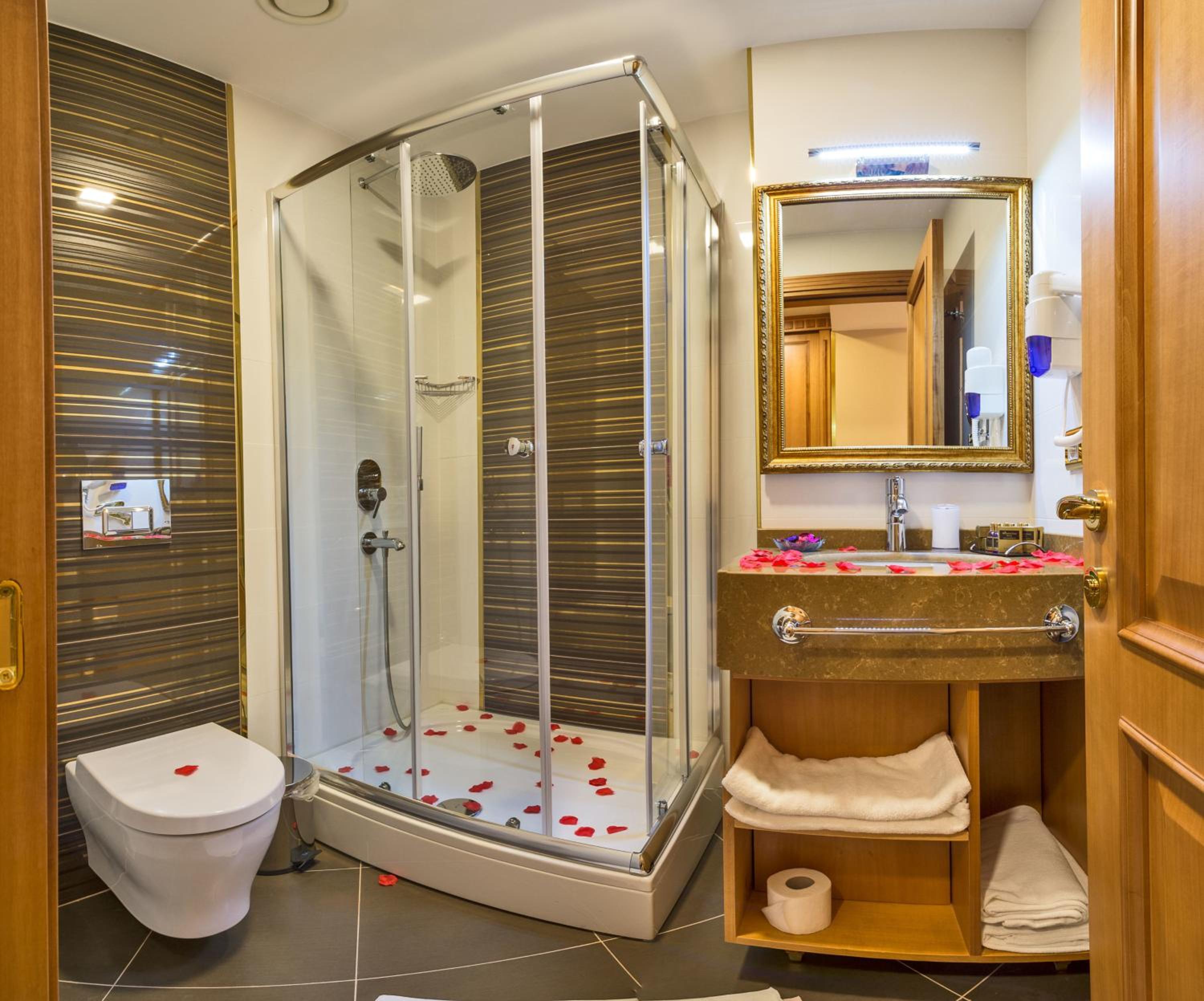 Aprilis Gold Hotel - Special Category - Image 10