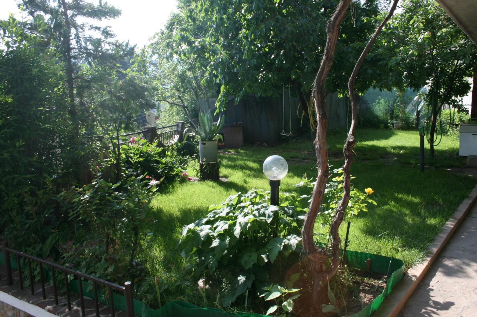 Tora Bora Guest House