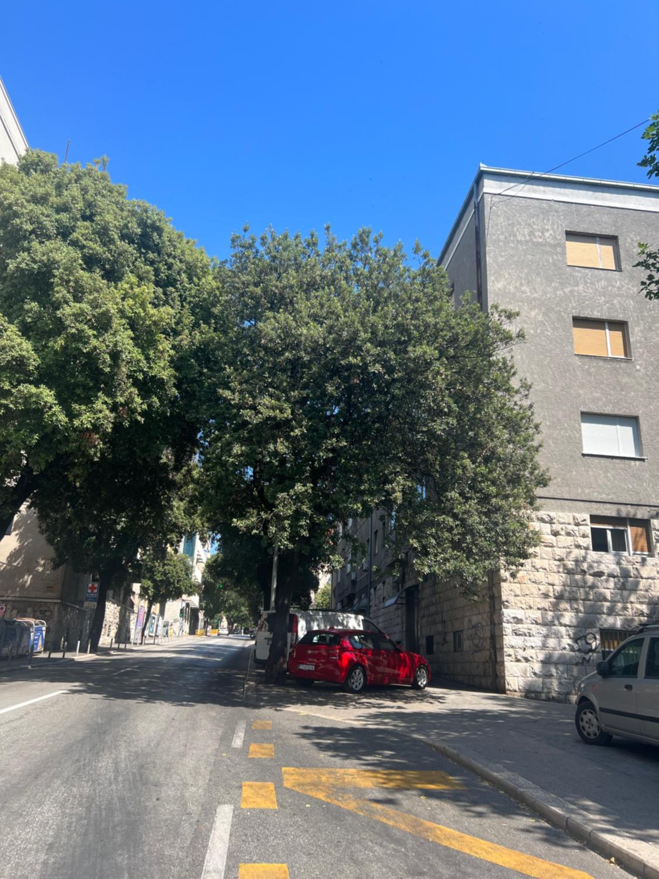 parking