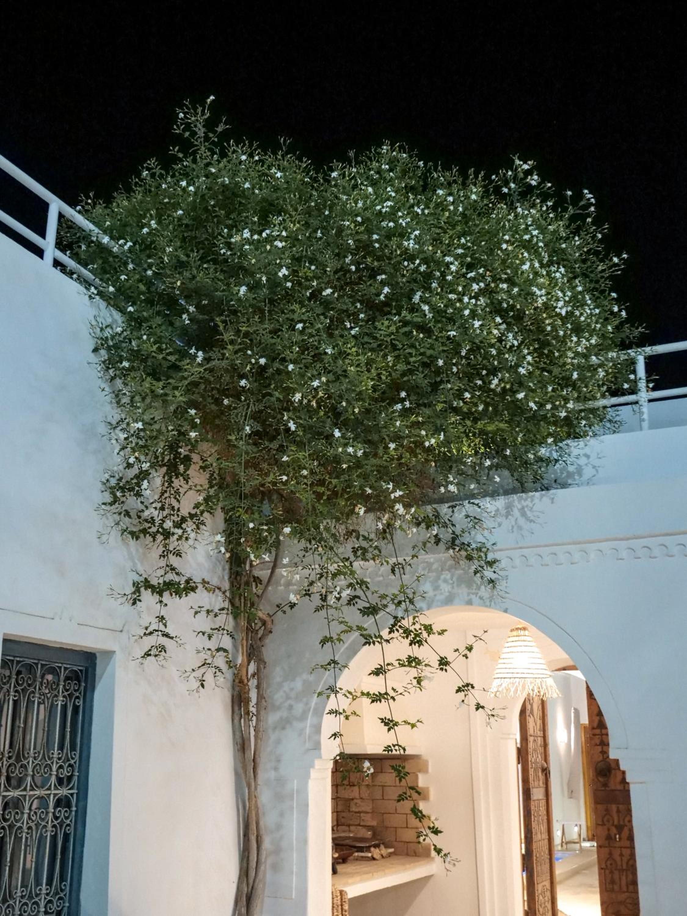 Dar Ennour Djerbahood Erriadh