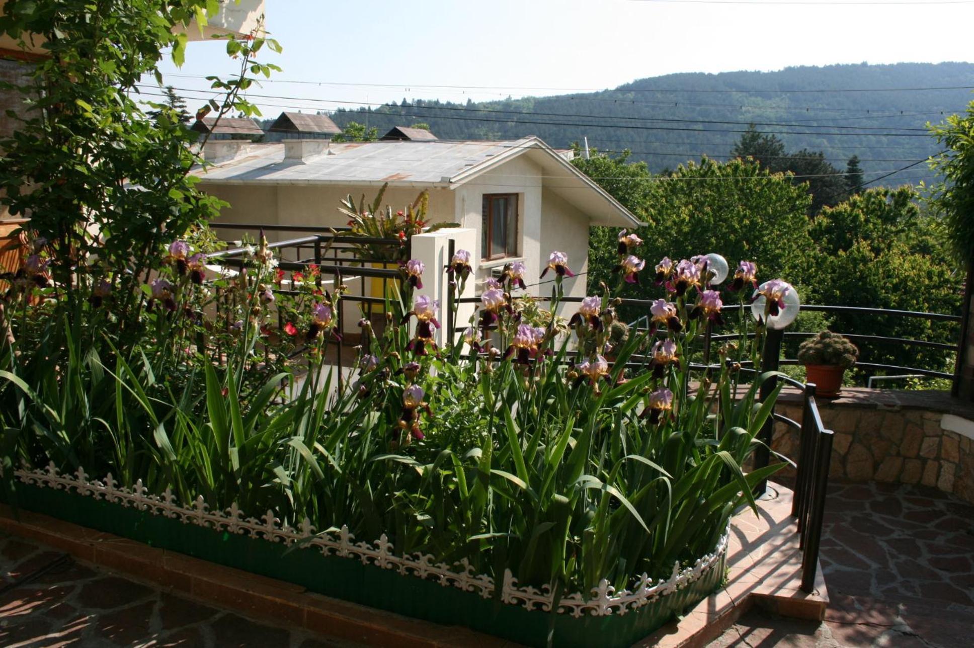 Tora Bora Guest House