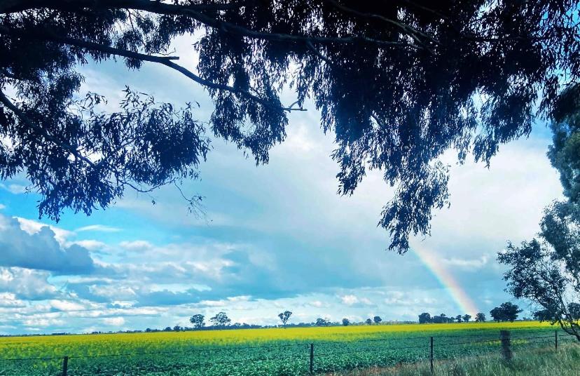Wings Field - relaxing family farm stay