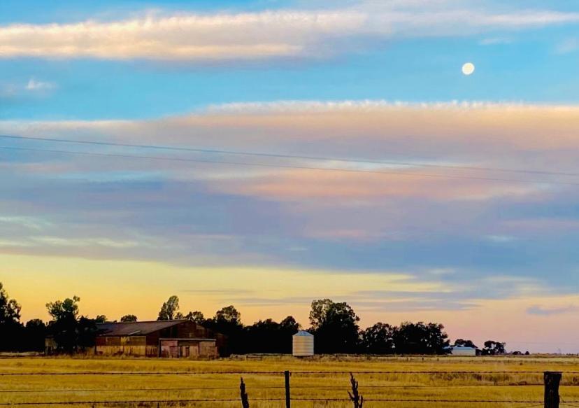 Wings Field - relaxing family farm stay