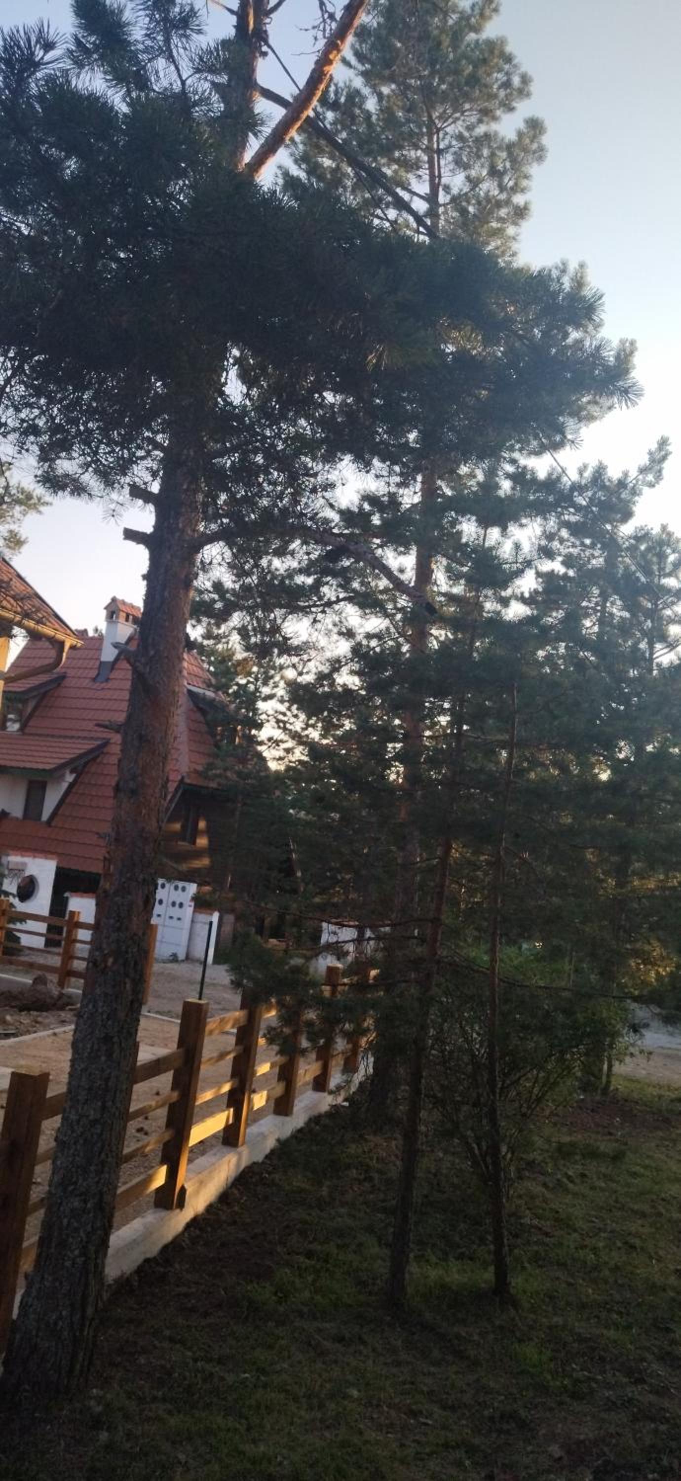 Apartman NIKOLIJA 2