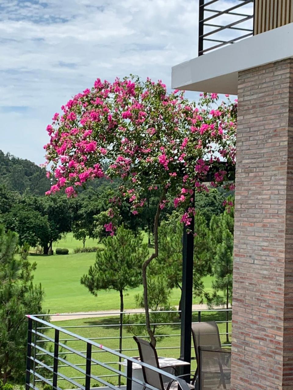 Nam Casa Sân Golf Tam Đảo Venuestay view 4