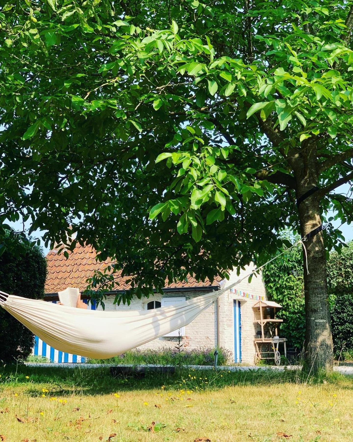 Hamiora wellness B&B