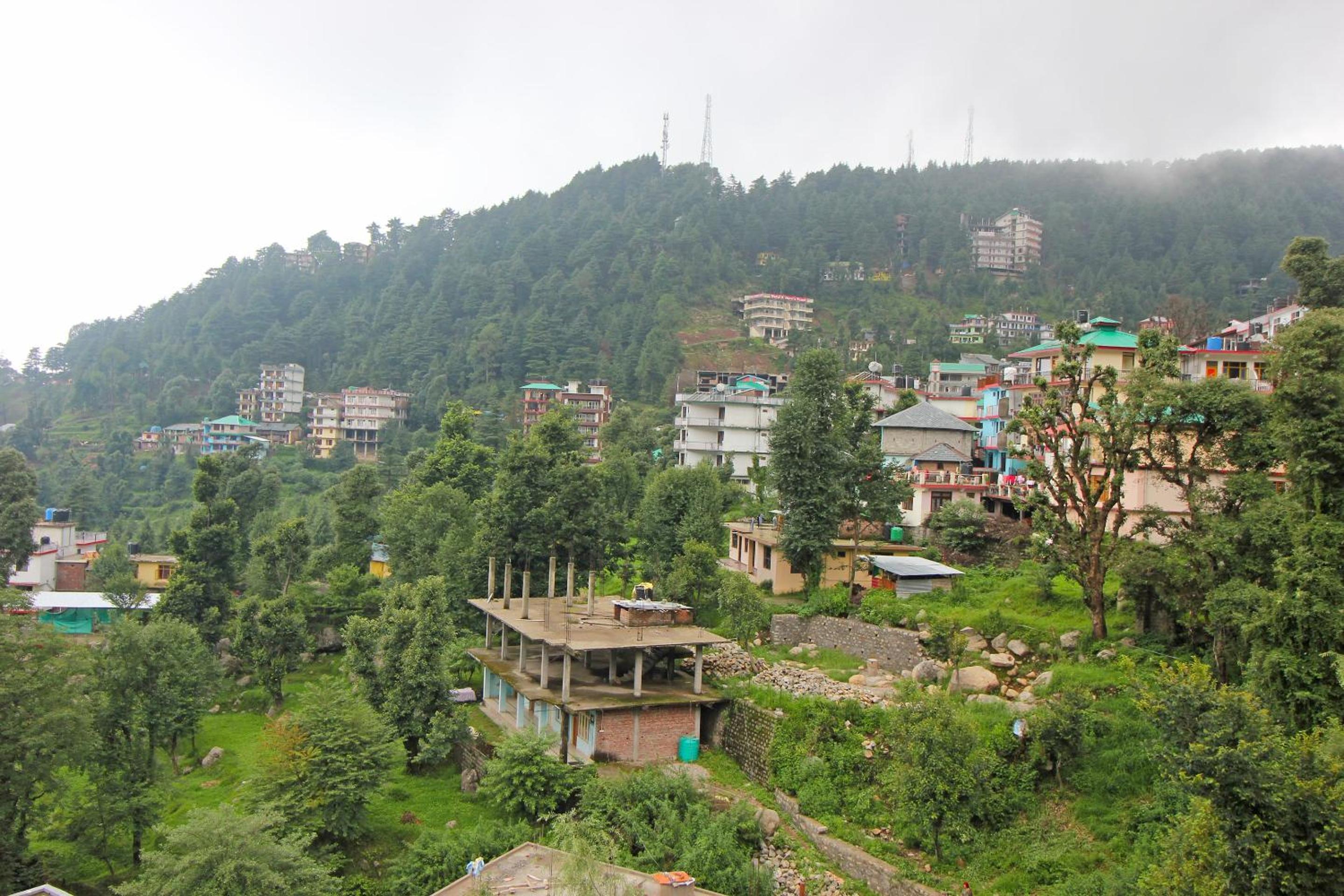 Anuj Regency Bhagsunag view 5
