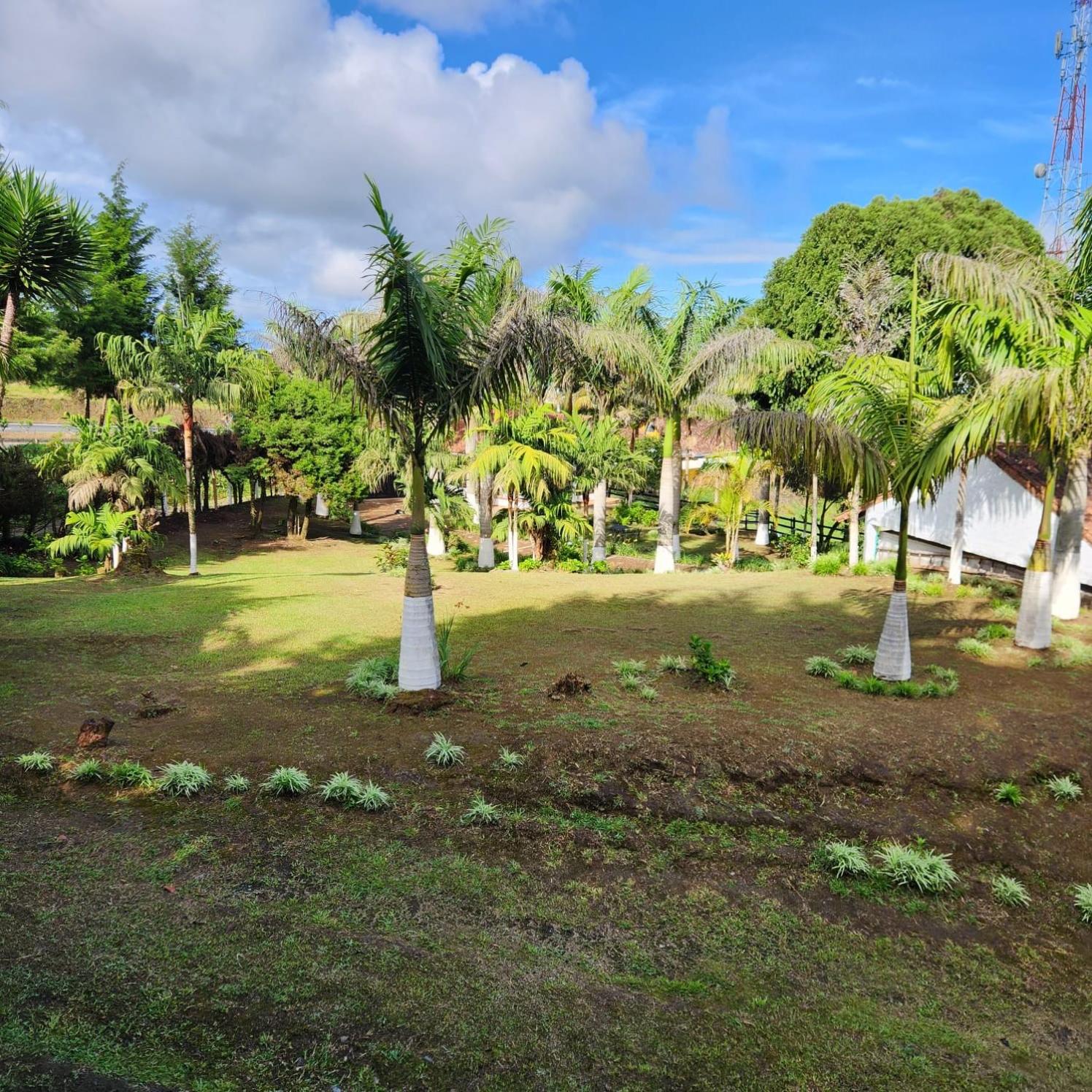 Villa Laura en Salento