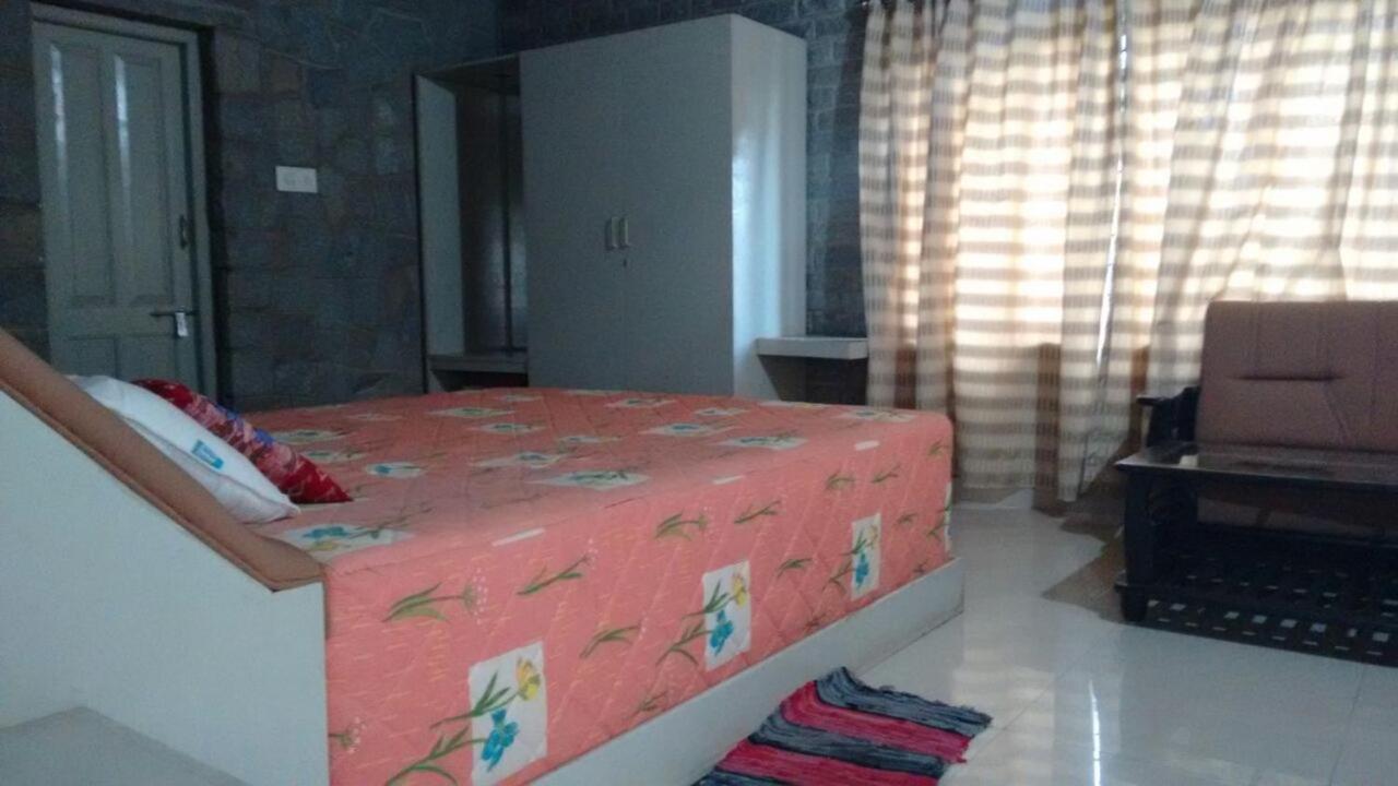 Hampi Homestay view 3