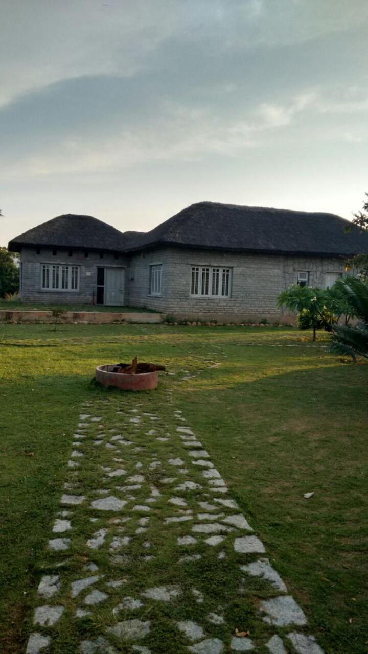 Hampi Homestay view 5