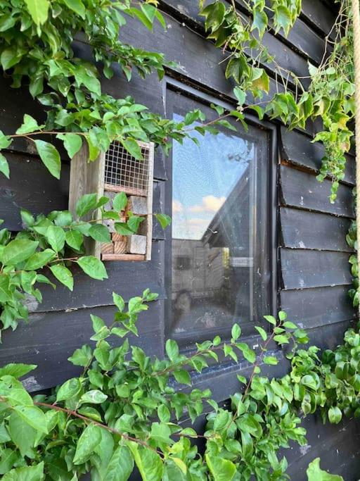 The Tiny Garage en Kampen