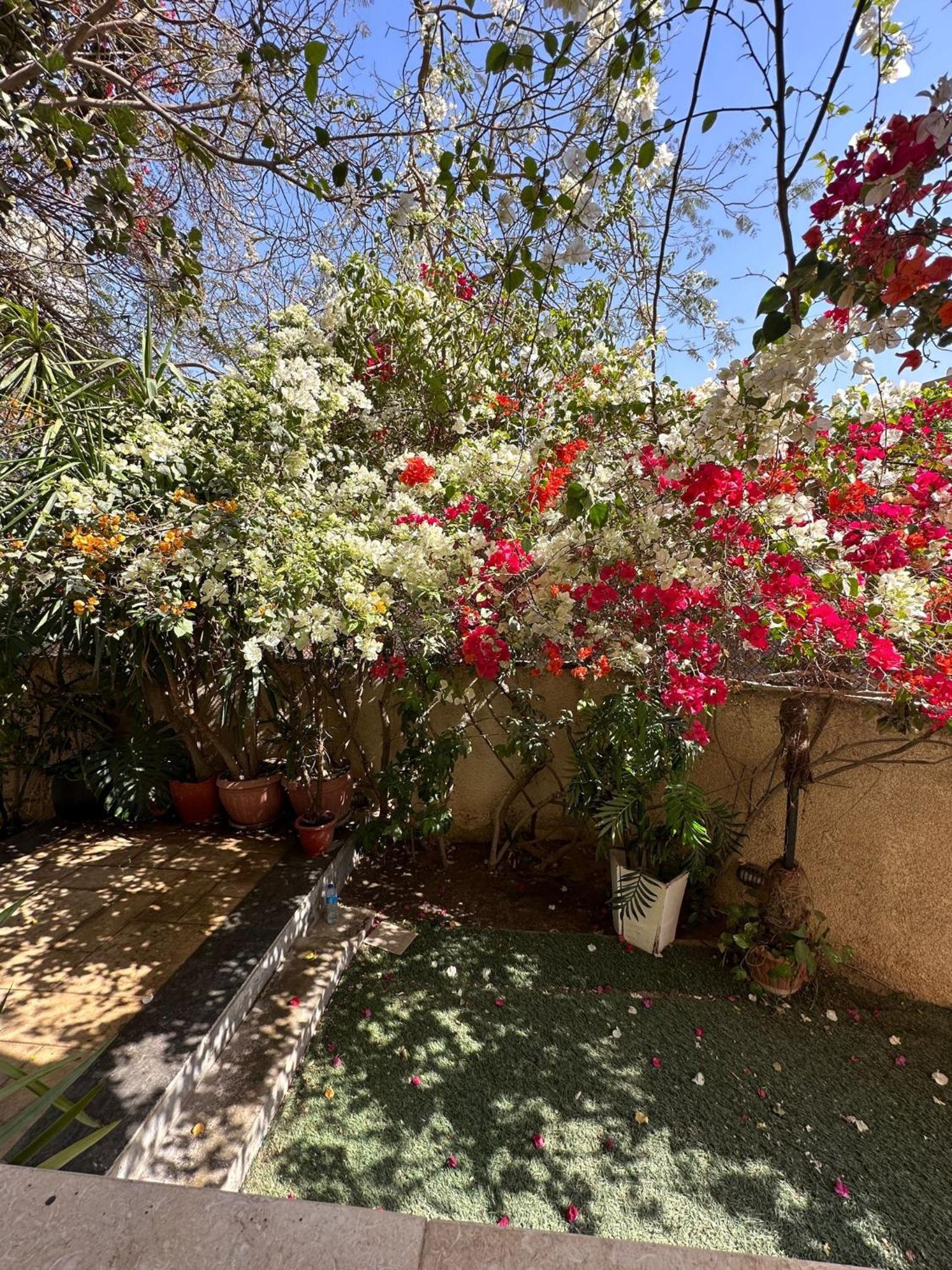 Heliopolis Gardens