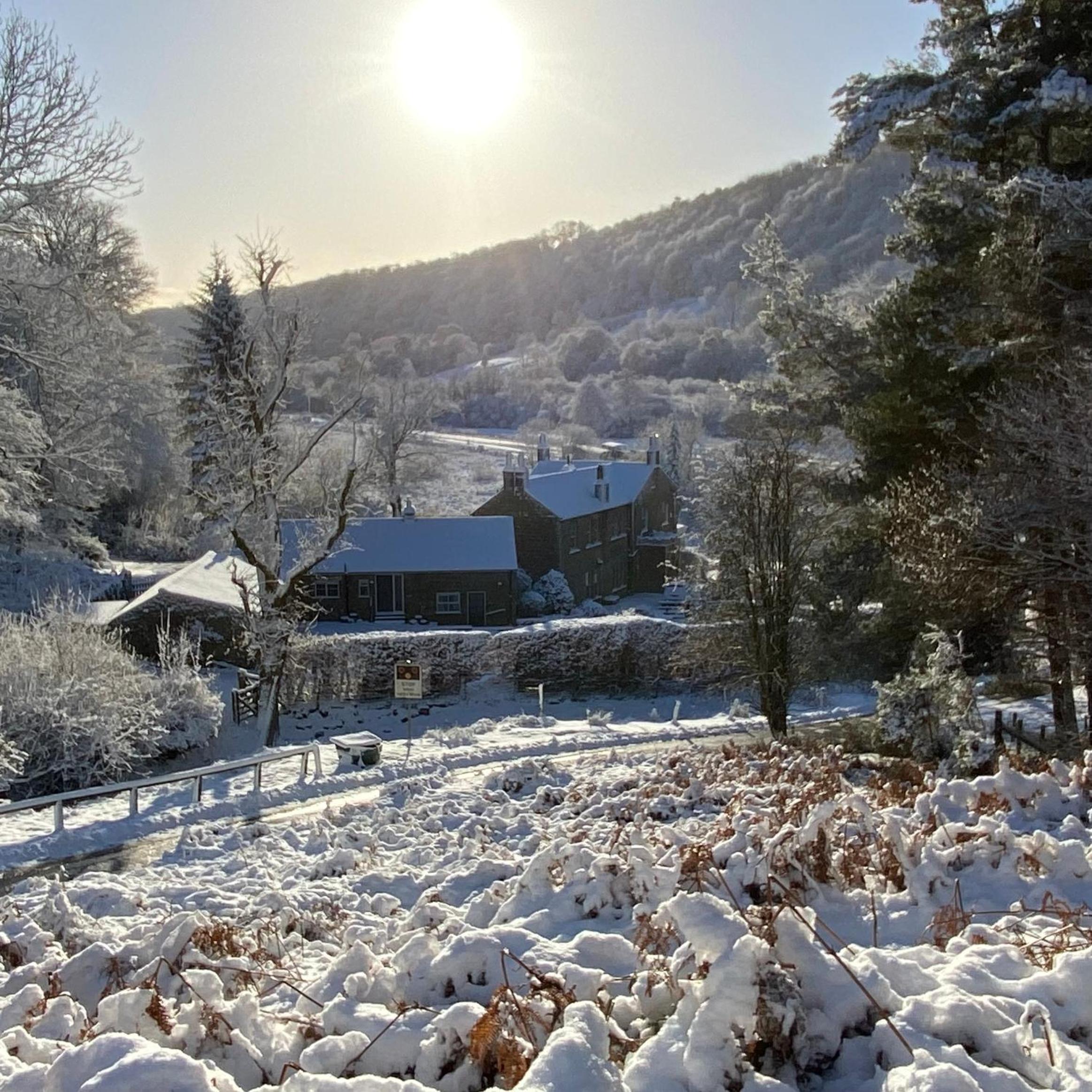 Grove House Levisham