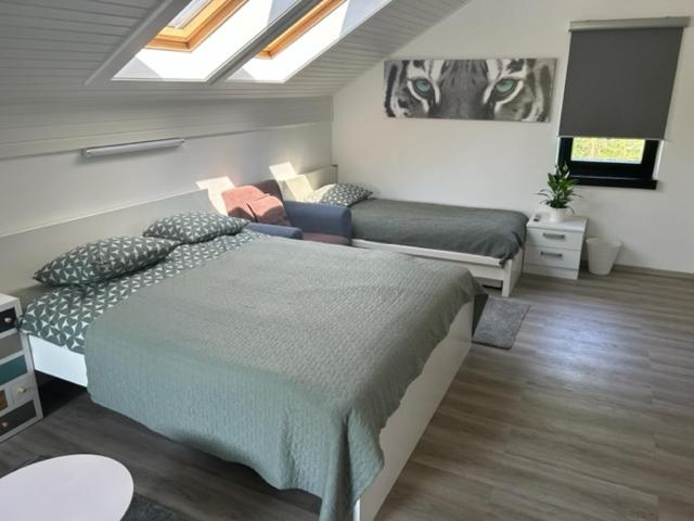 A&E Apartment