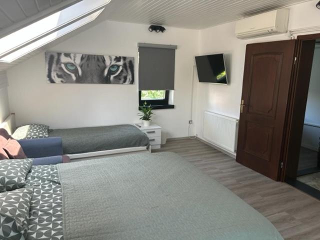 A&E Apartment