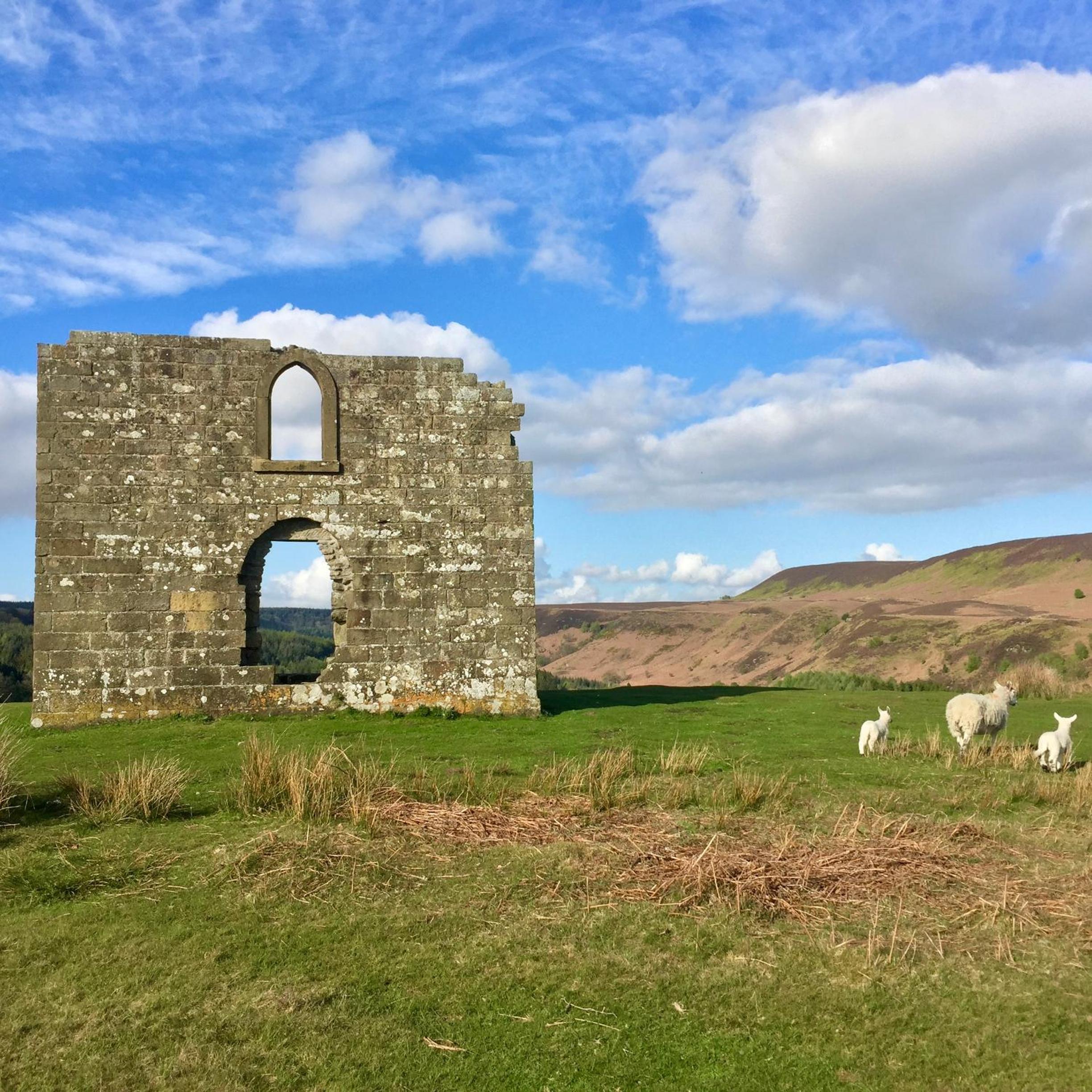 Grove House Levisham