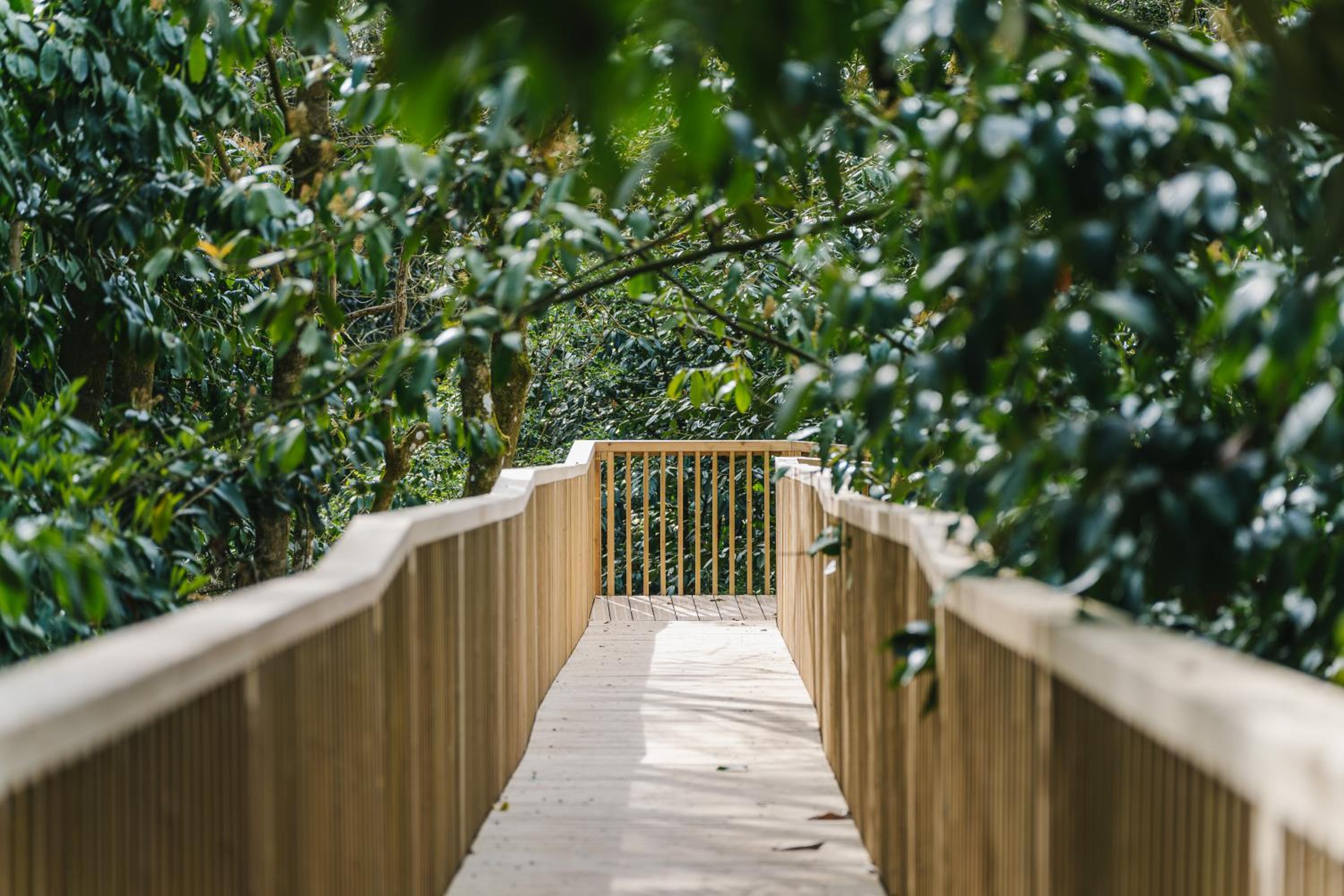 RewildThings Treehouses