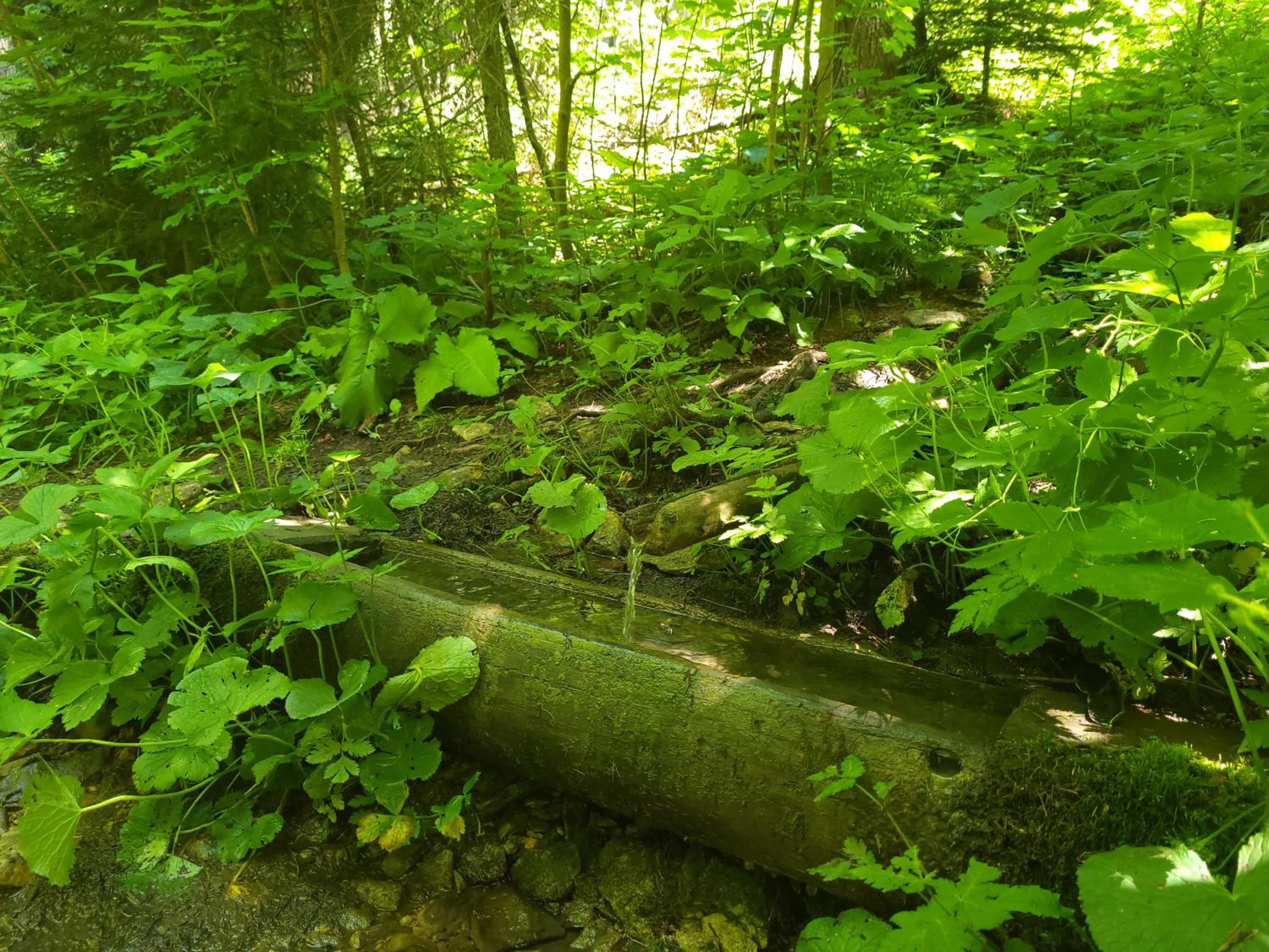 Photo 45