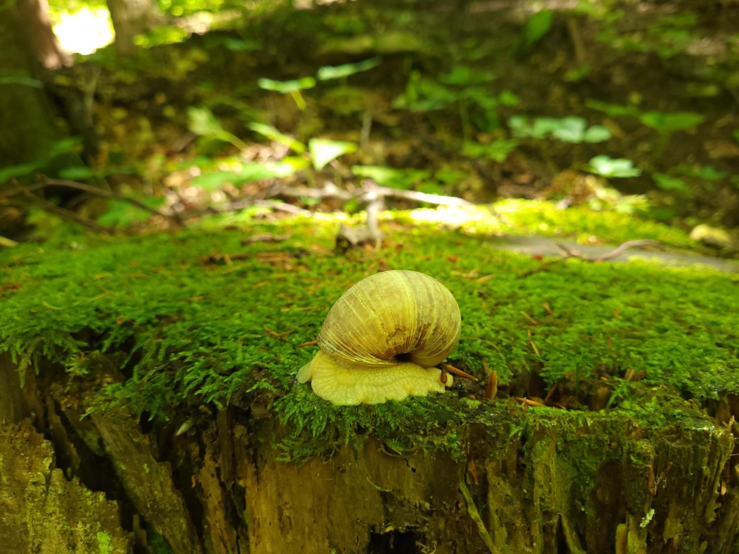 Photo 44