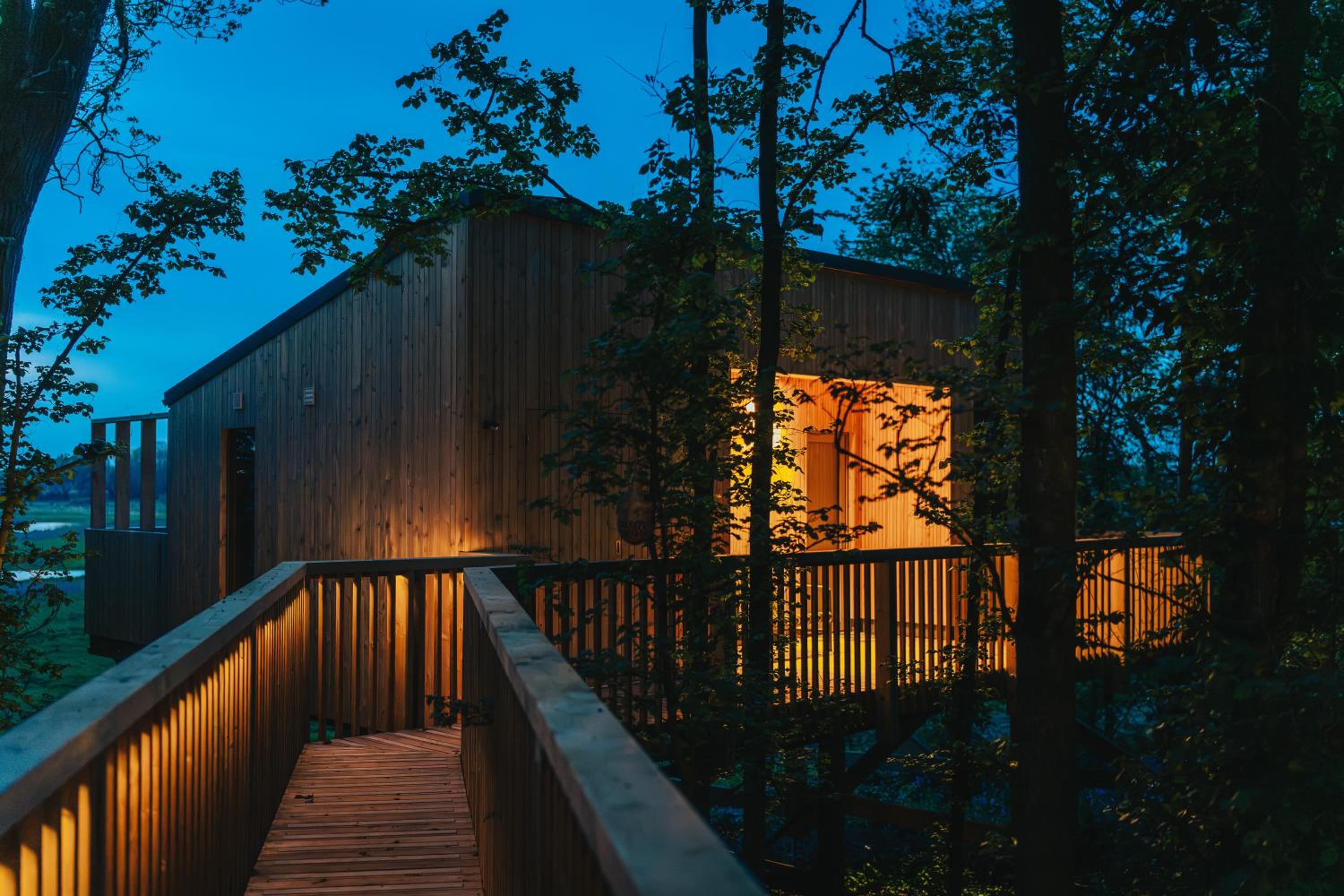RewildThings Treehouses