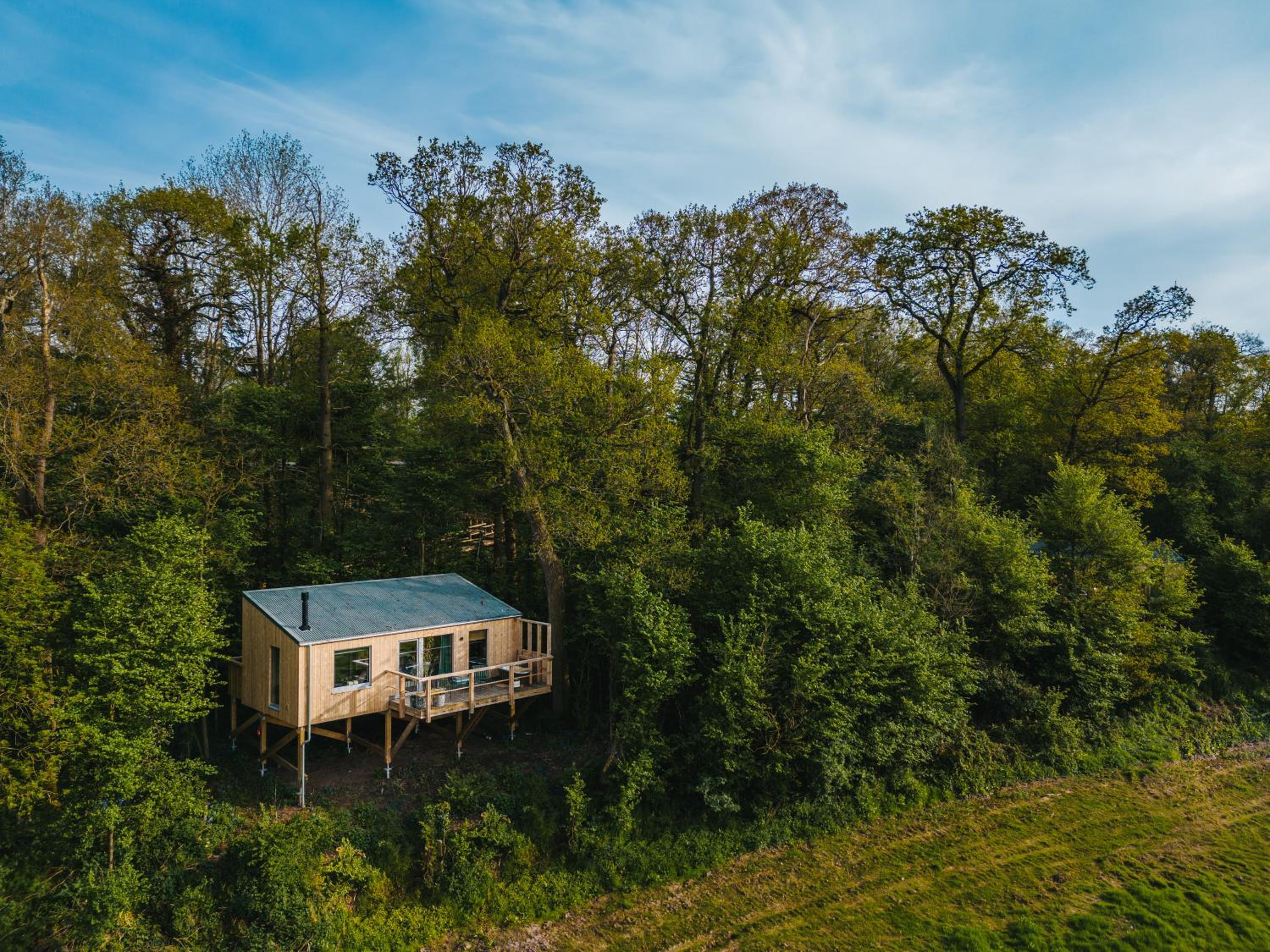 RewildThings Treehouses