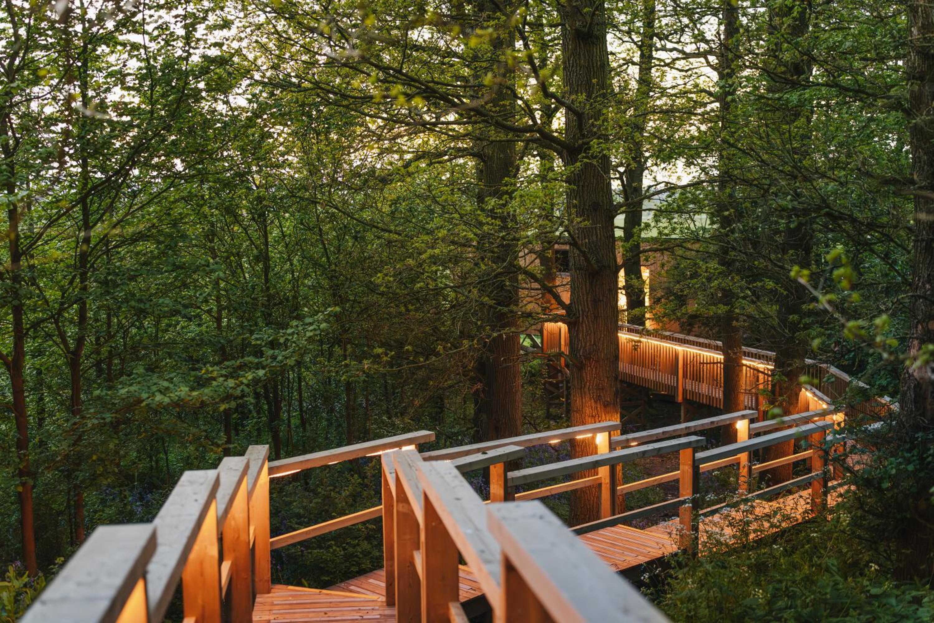 RewildThings Treehouses