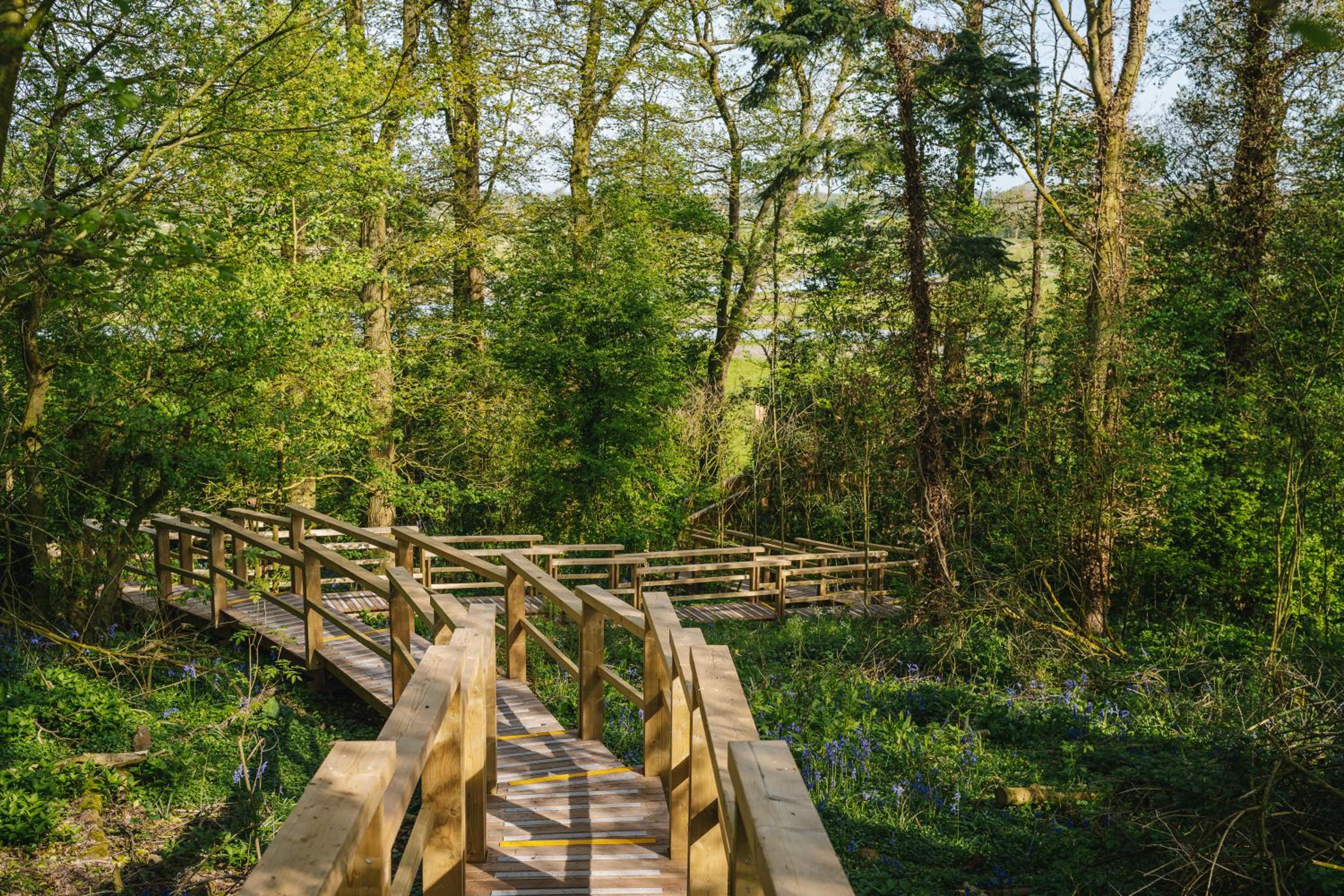RewildThings Treehouses