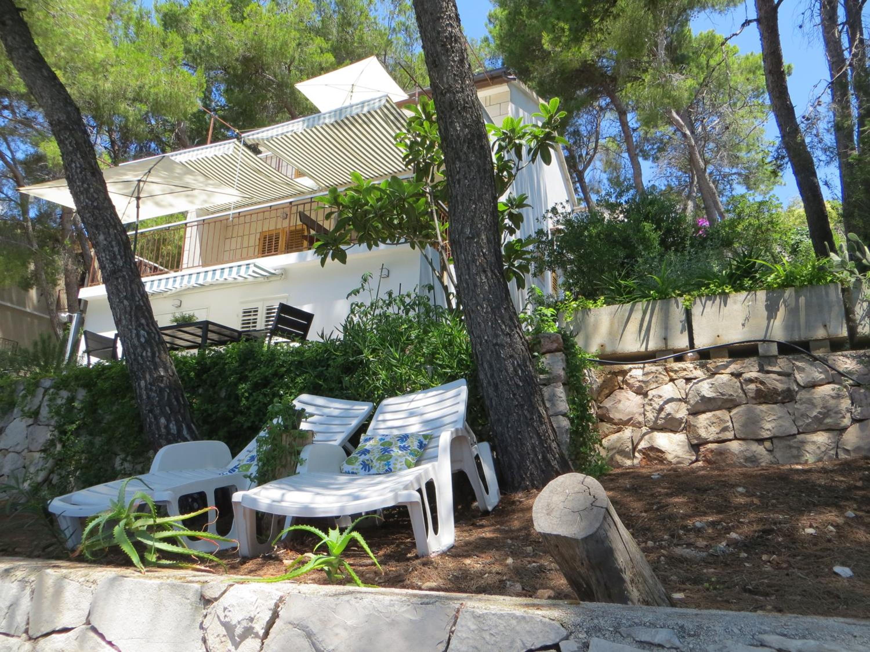 Photo 39