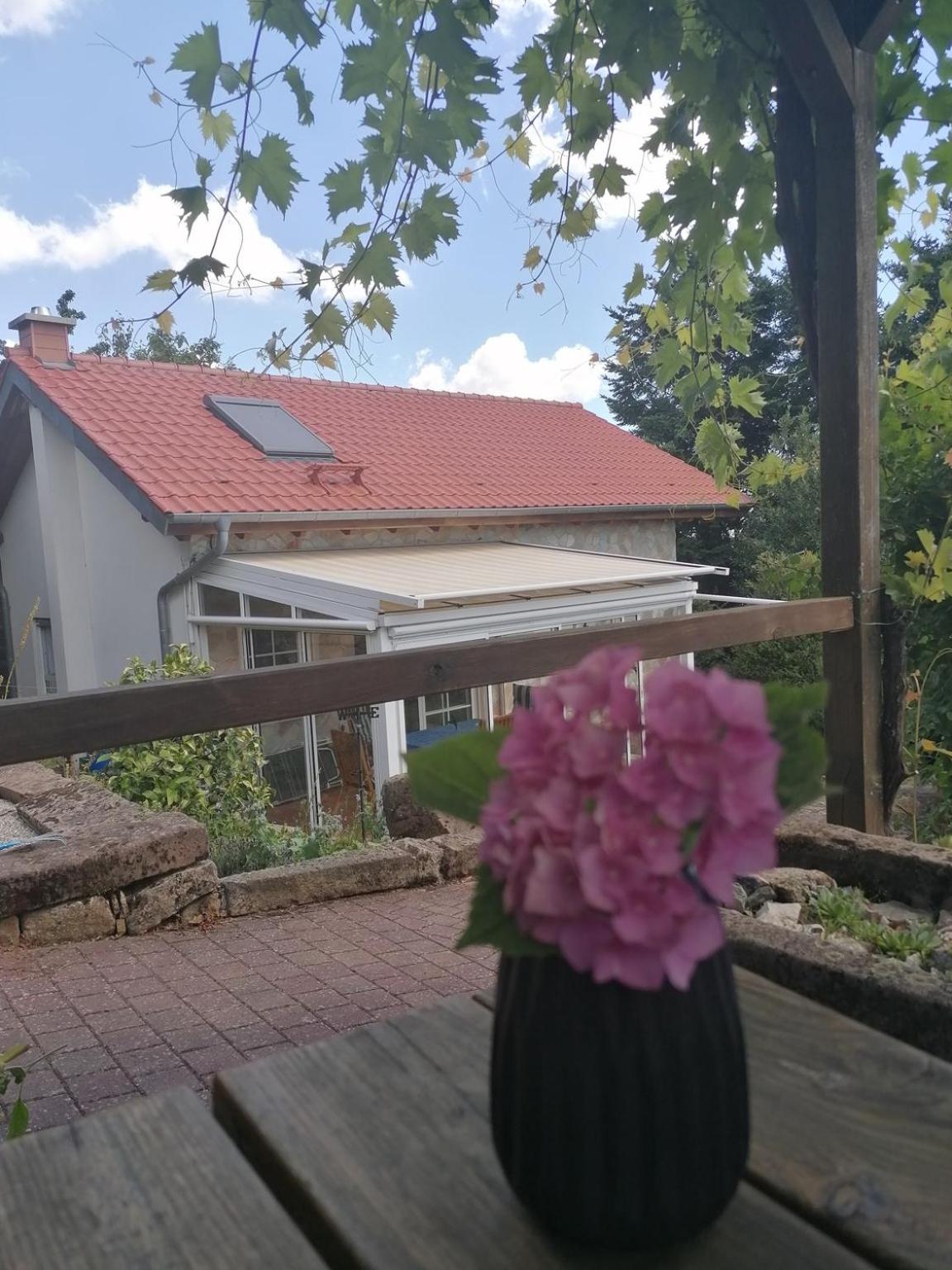 Weinstrassenblick