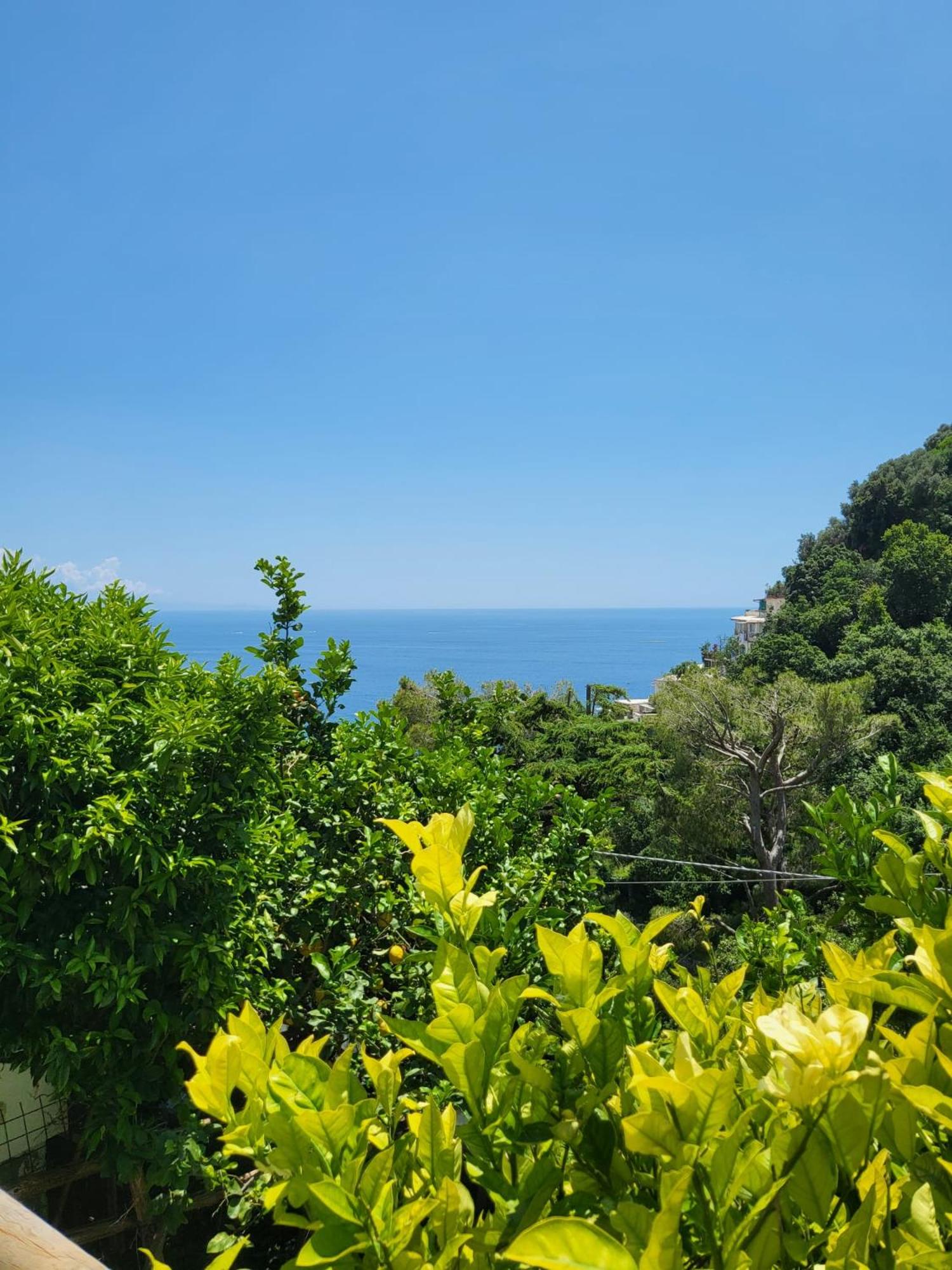 Cottage L'Americano view 4