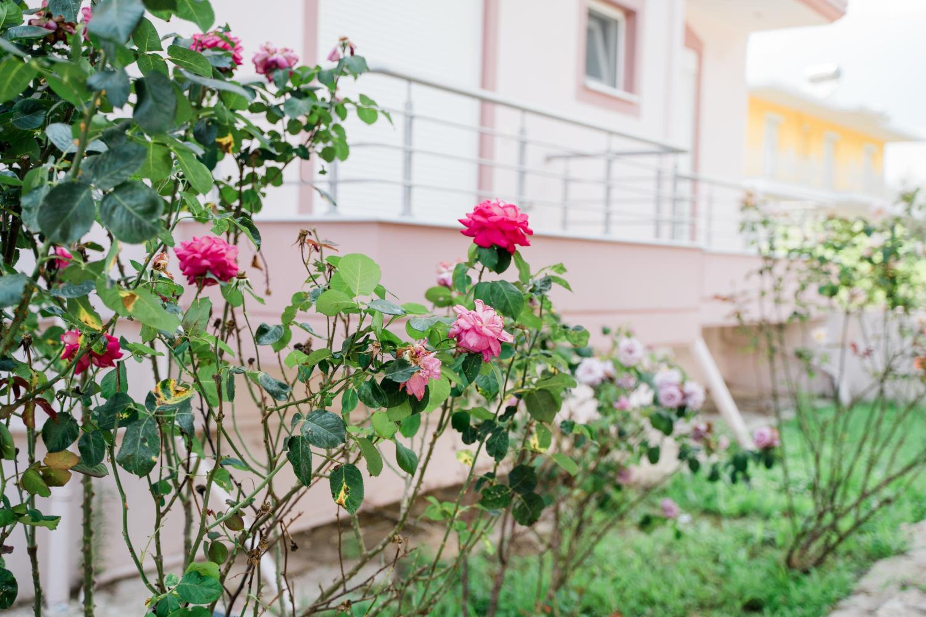 Artemis Villas