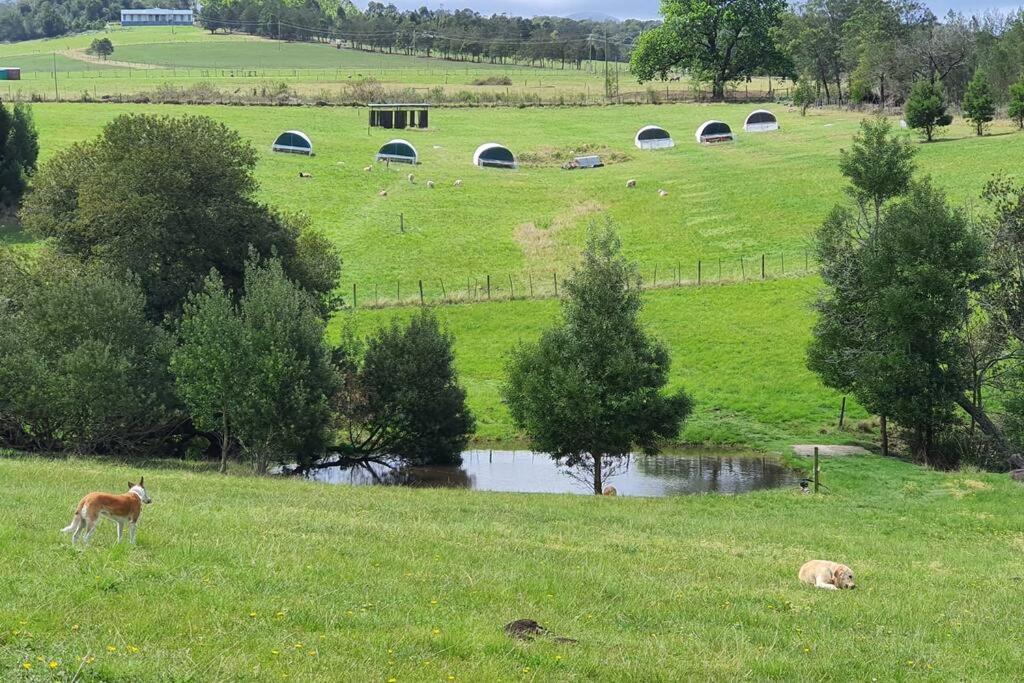 Valley Farm Stay view 4
