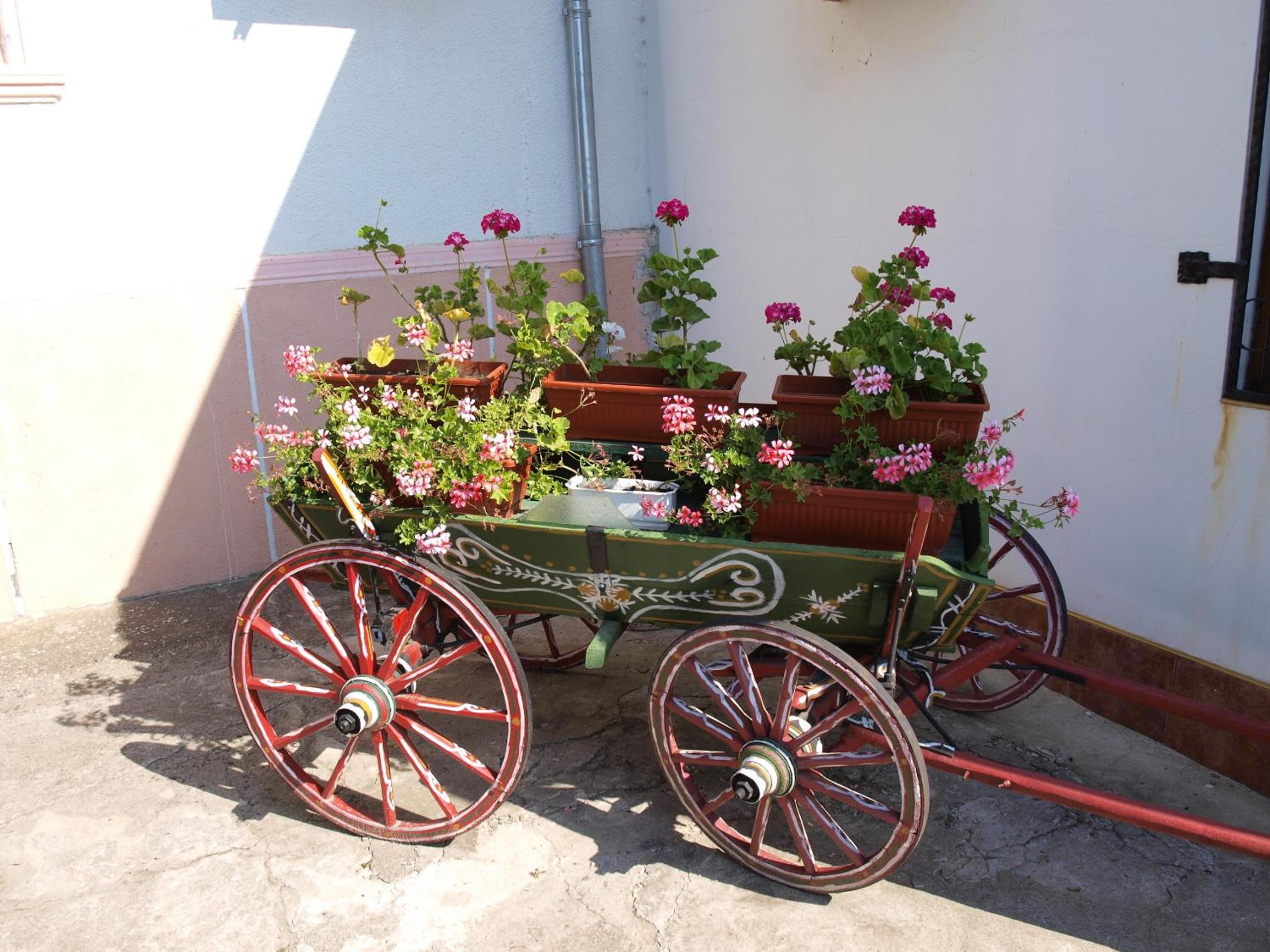 Guest House Borisov