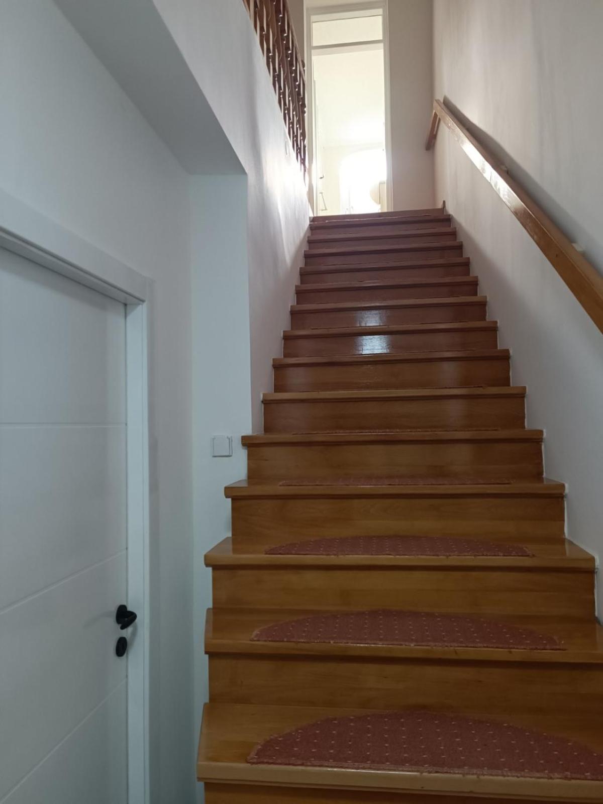 Apartman Nodi