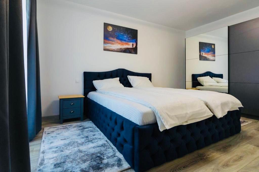 Dominic Apartments Sighisoara view 5